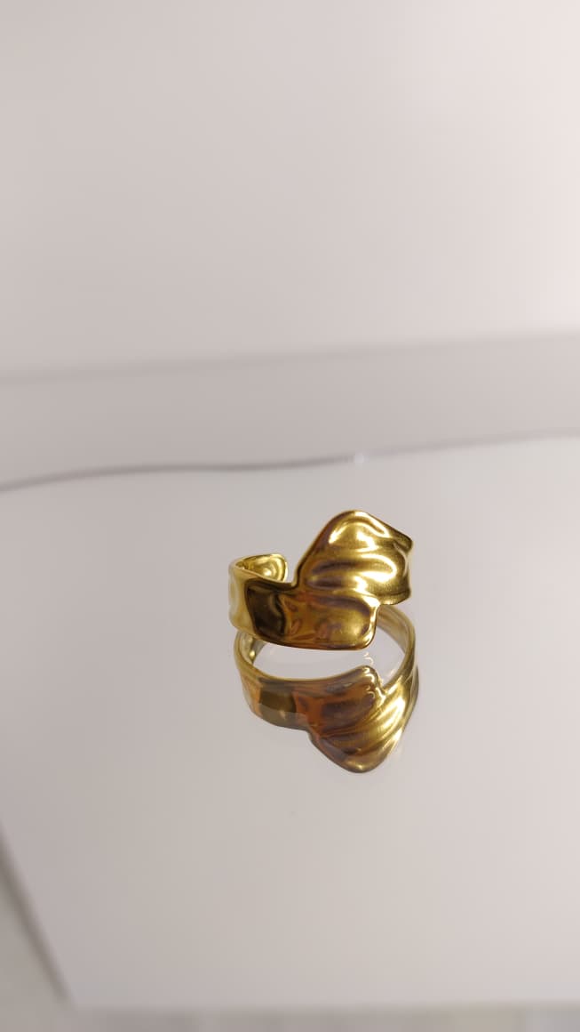 ANILLO V